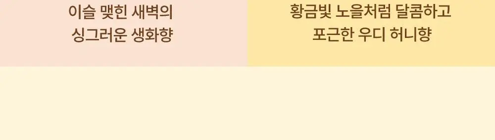 [반곱슬탈출] 나르카 스트레이트 슬릭 헤어 밀크 기획(+고데기 브러쉬 증정) (단품/기획) 상세페이지 7